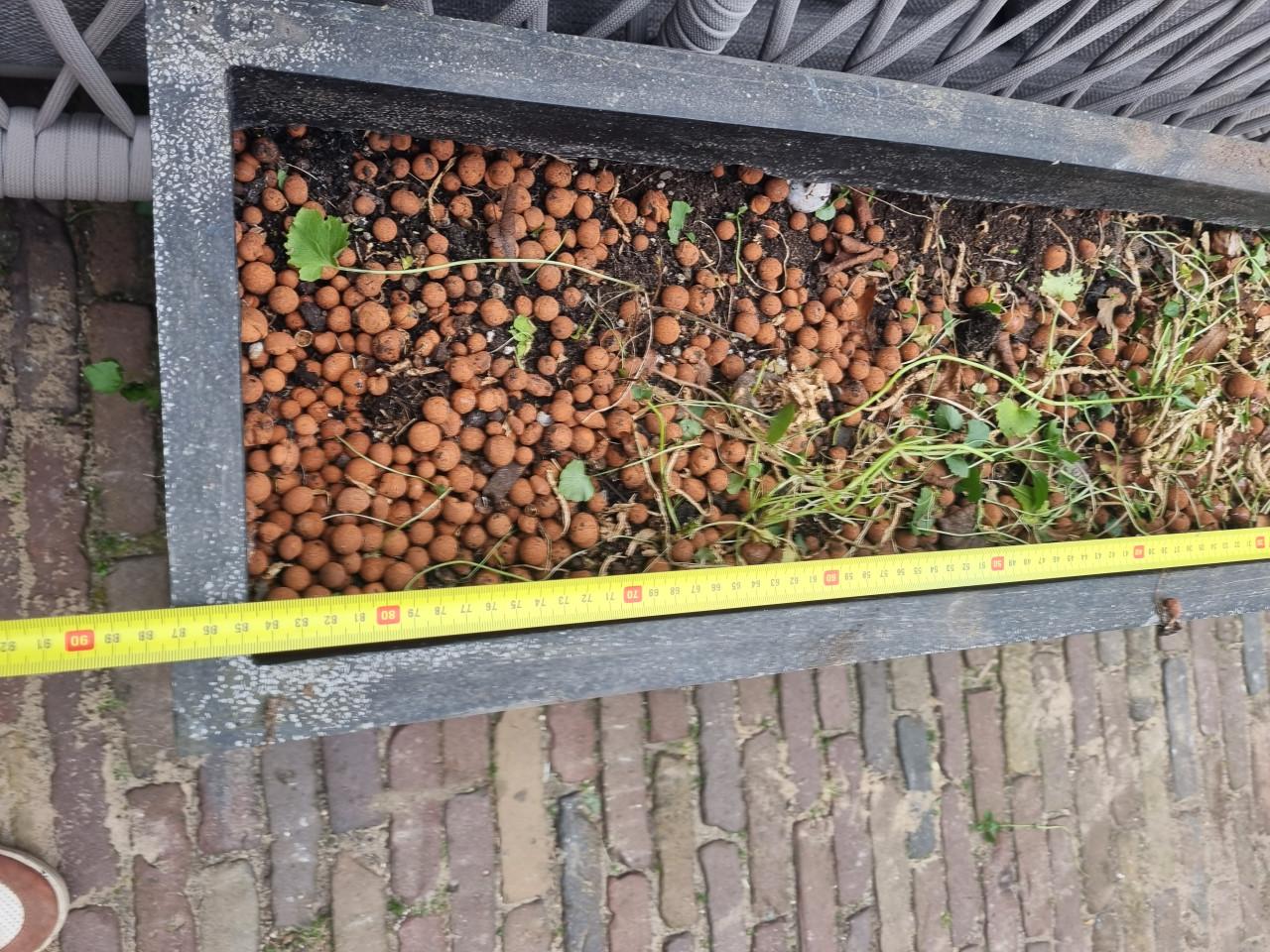 Gratis bloembakken ophalen