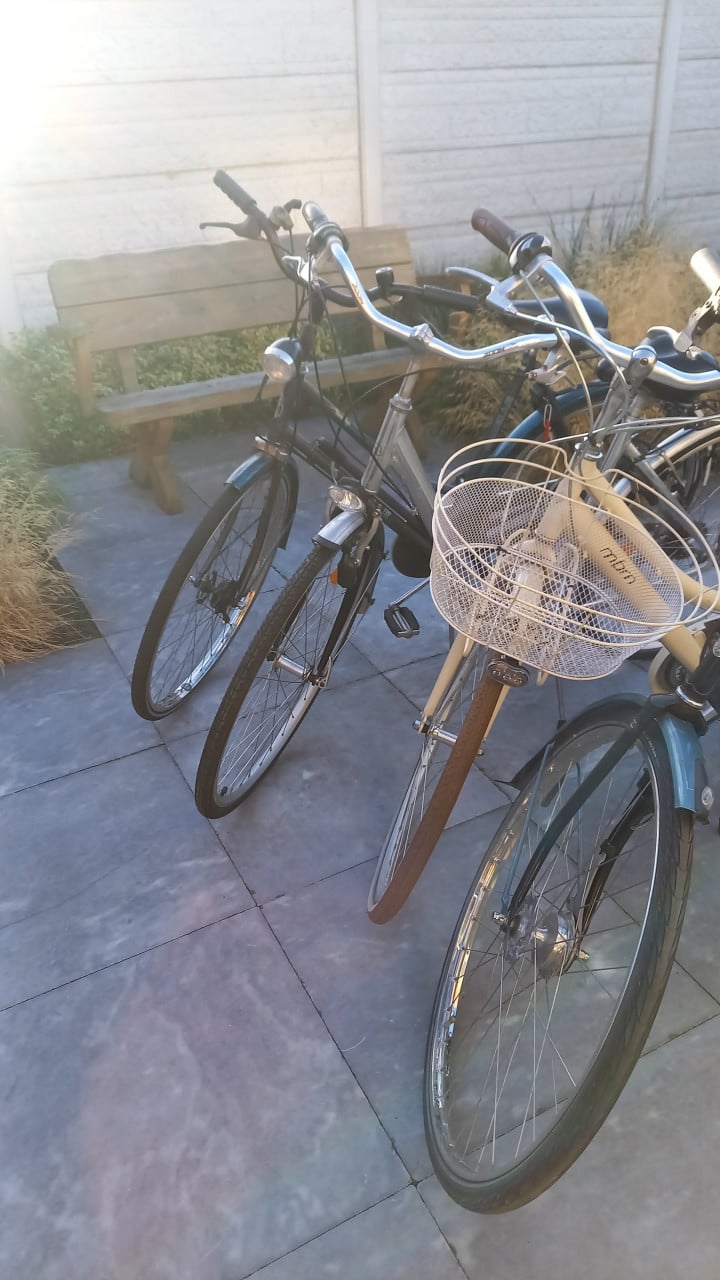 Diverse studenten fietsen