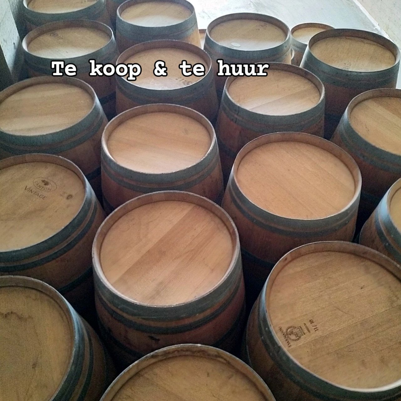 Wijnvaten te huur (en te koop)