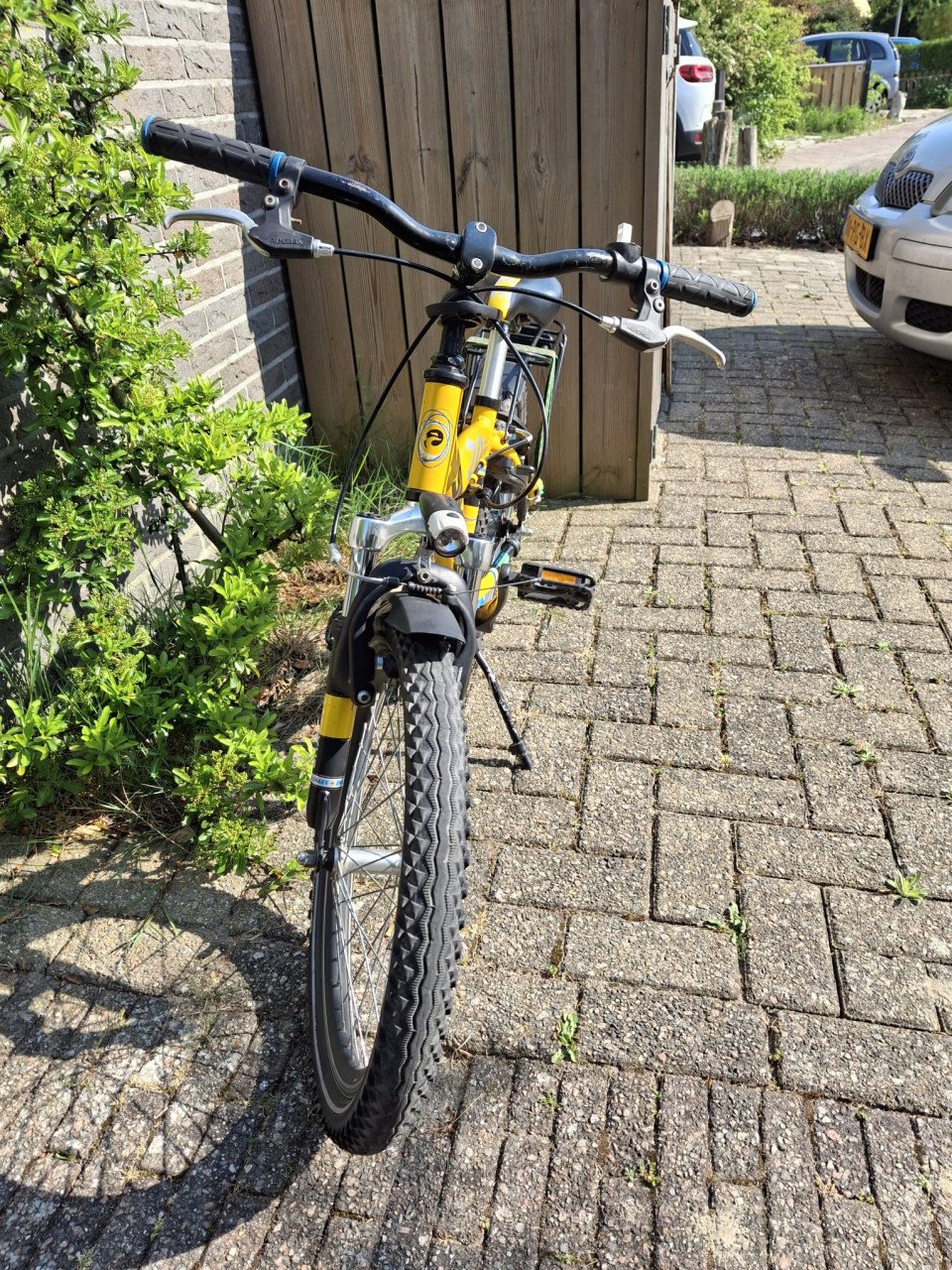 Jongensfiets Snake 20 inch