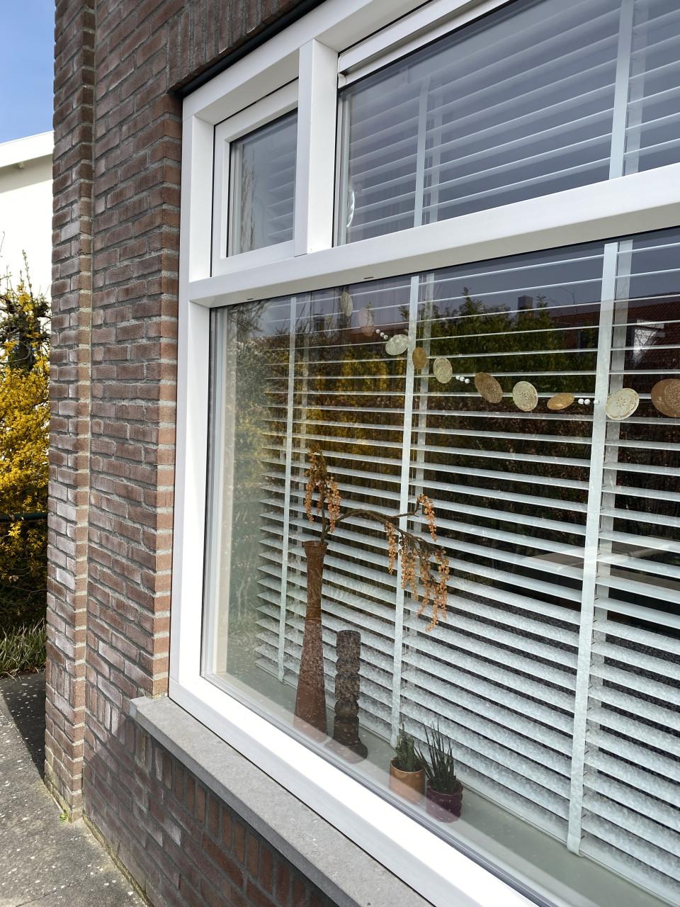 Zware witte JALOEZIEËN