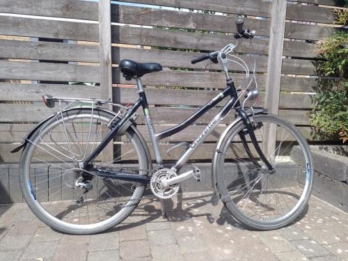 Gazelle Cayo damesfiets zwart/zilver