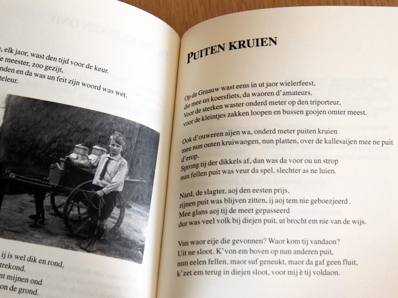 Meer Graauwse Streken (Désiré de Waal)
