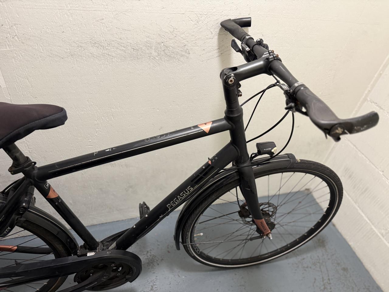 Sportieve Herenfiets Merk PEGASUS