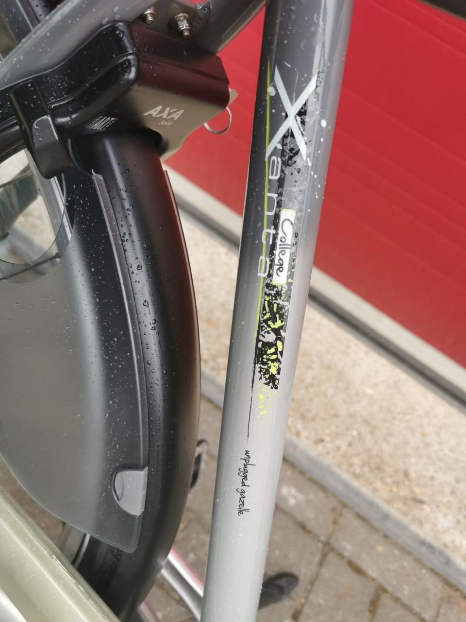 GAZELLE XANTA HERENFIETS
