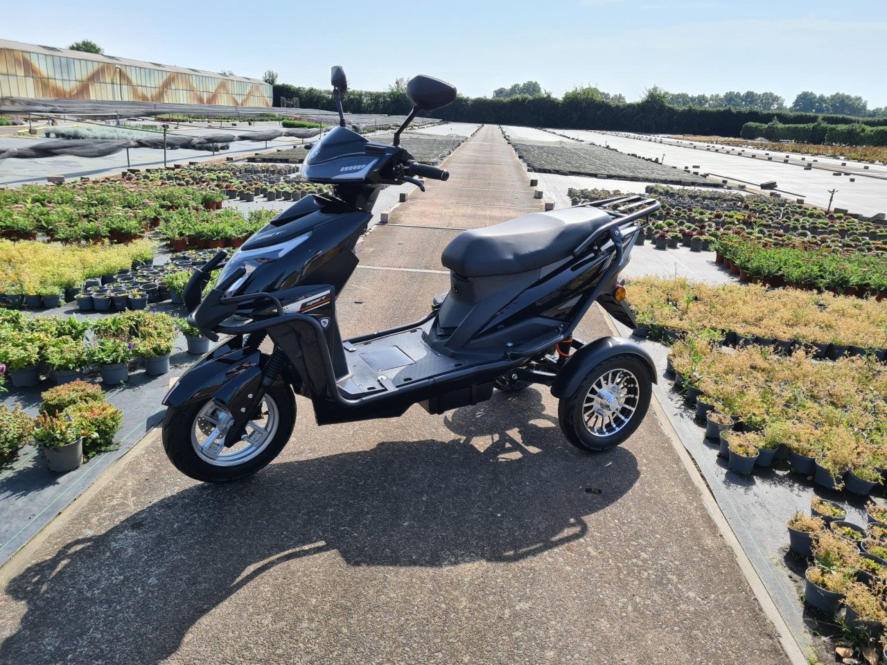 Introductie actie!  van Trimobila Liberta Black