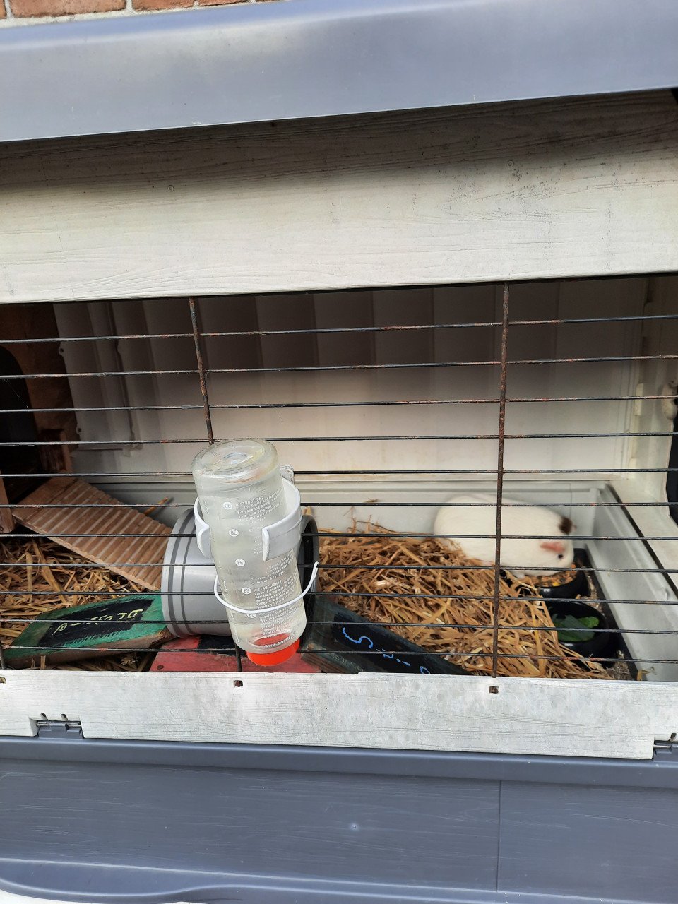 Konijnenhok kunststof cavia knaagdieren incl 2 cavia’s Ferplast Grand Lodge