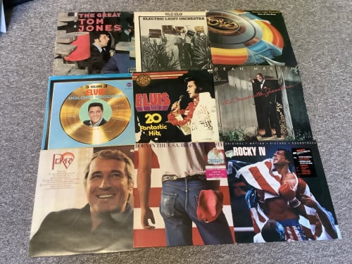 Verschillende lp’s van bekende artiesten, Van Elvis tm Mud en Prince.