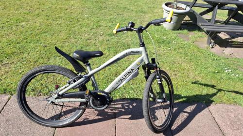 Alpina Trial  22 inch