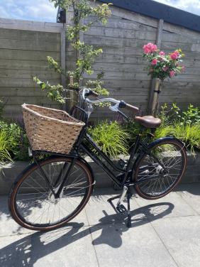 Dames fiets Gazelle Miss Grace