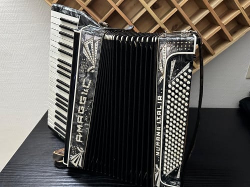 Italiaanse 120-bassen accordeon – Numana Italia + KOFFER