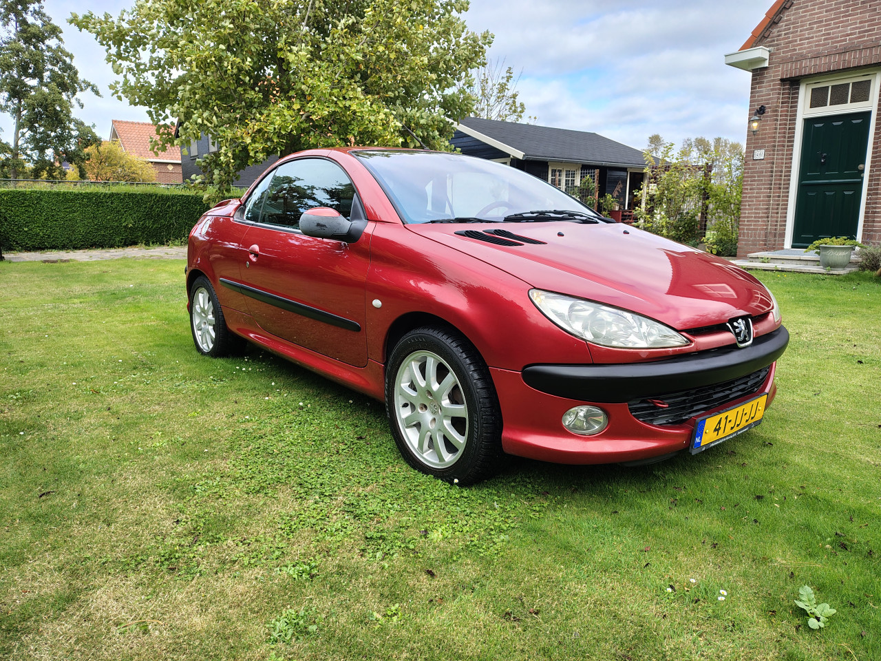 Peugeot 206 2.0 16V CC 2002 Rood