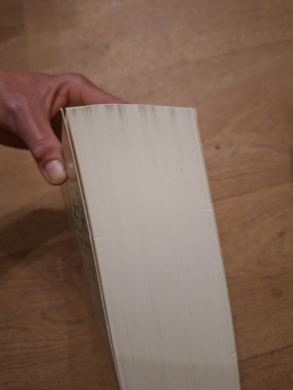 2 boeken Marischa Pessl