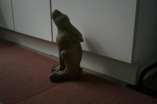 TUINBEELD - moongazing hare ...