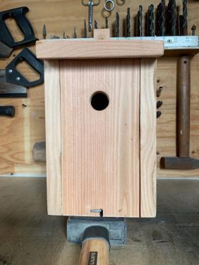 Nestkastje voor pimpelmees of koolmees