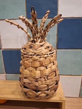 Decoratieve Ananas