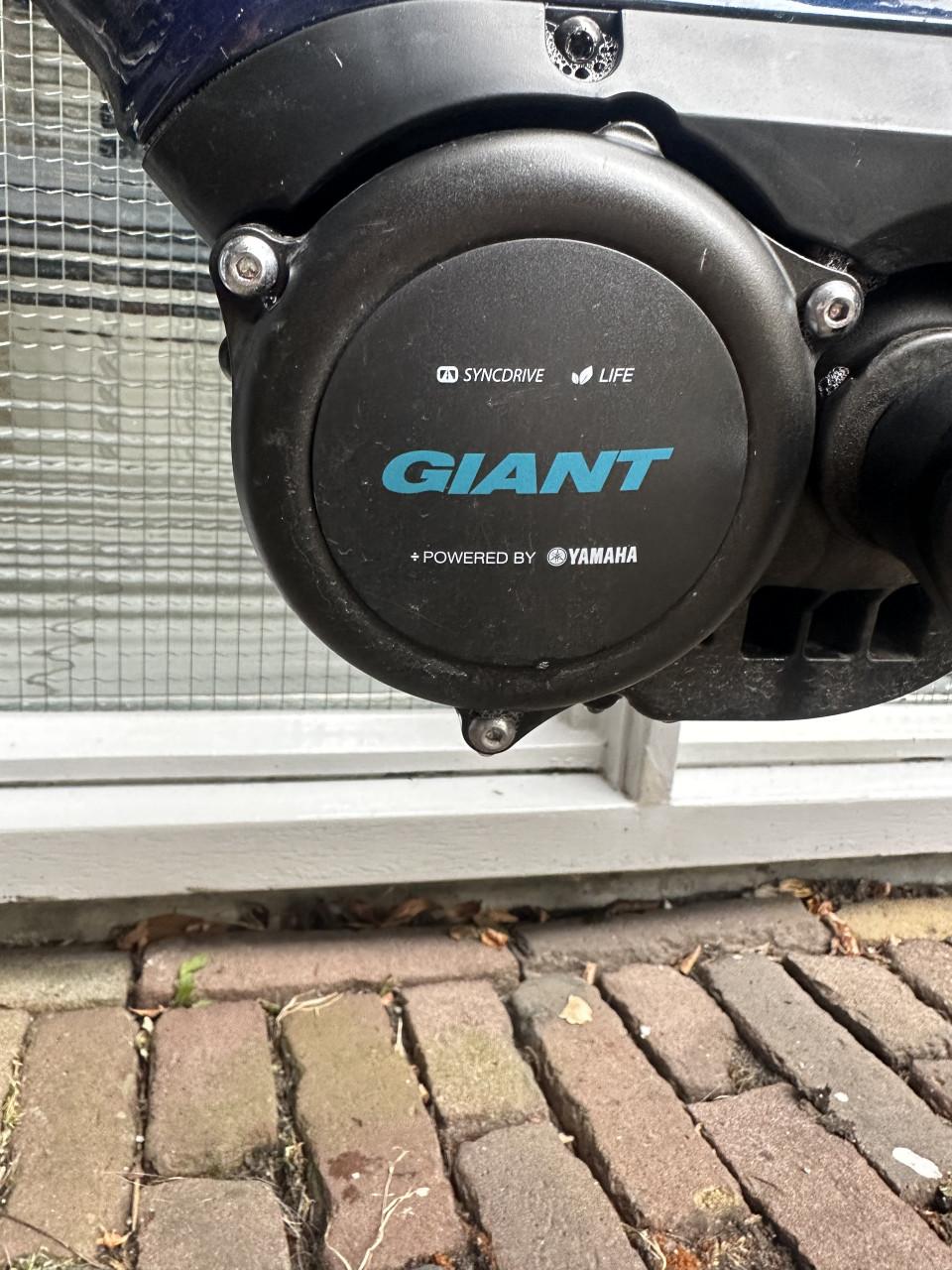 E bike Giant