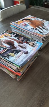 Flinke stapel Penny's stripboeken en Tina