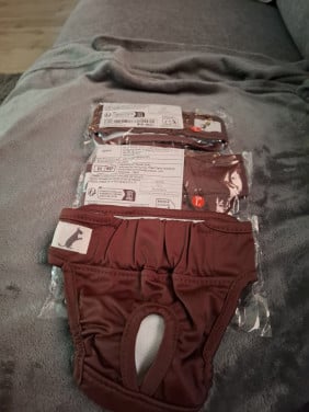 Loopsbroekjes voor hond maat L