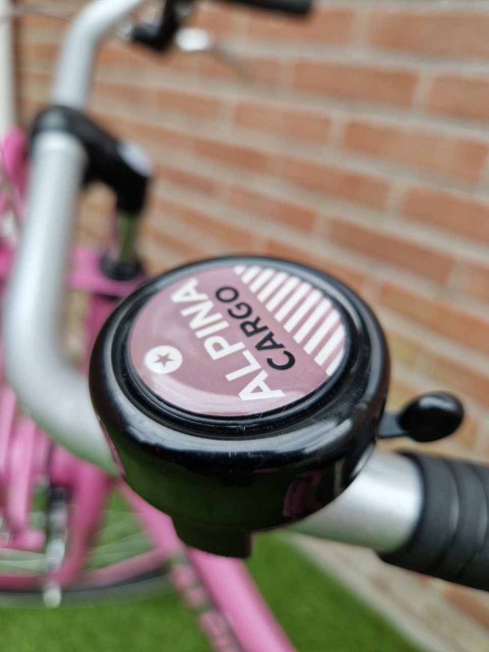 Alpina Cargo 20 inch SUPER staat