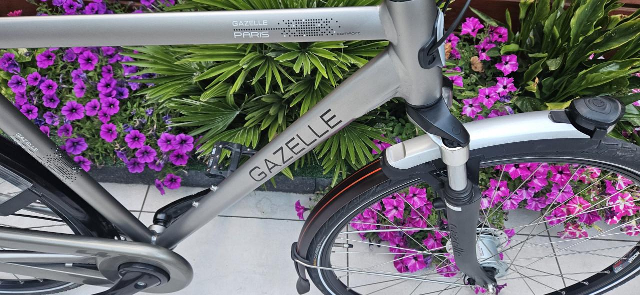 Gazelle Paris C7+ Herenfiets