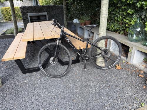 Crossbike Liv Rove