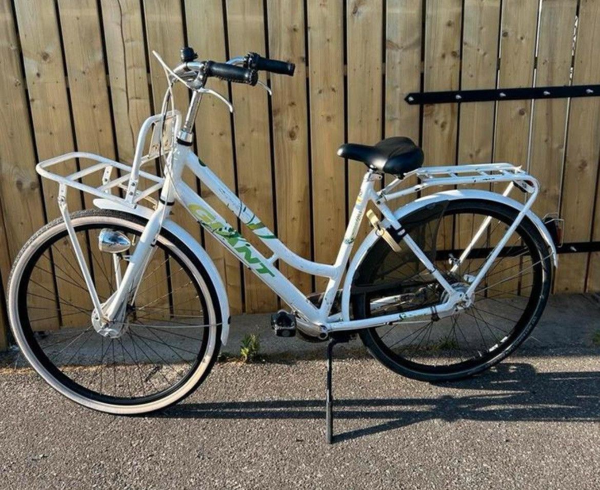 Giant damesfiets