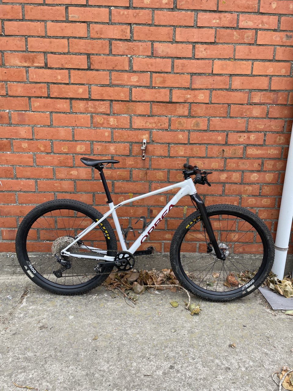 Orbea alma met carbon voorvork en dt swiss wielen