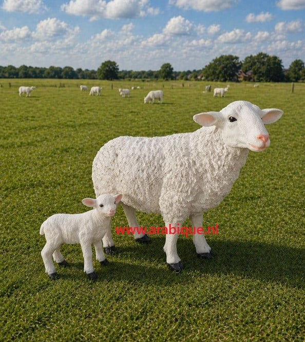 Baby bokjes big geit lammetje enz