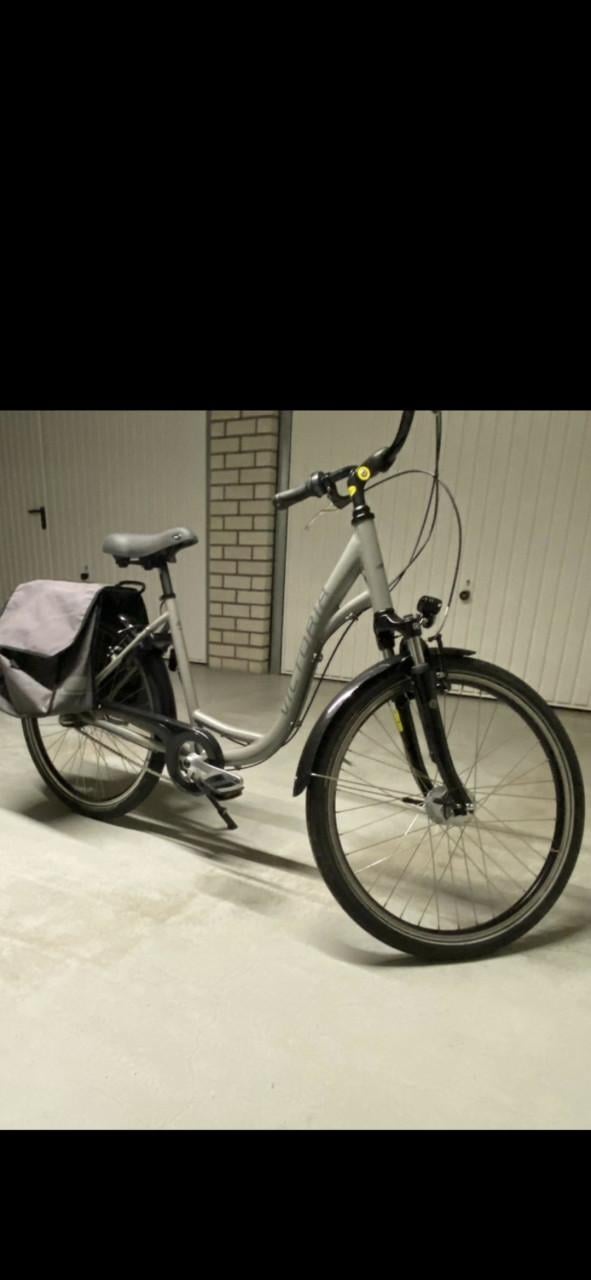 DAMESFIETS