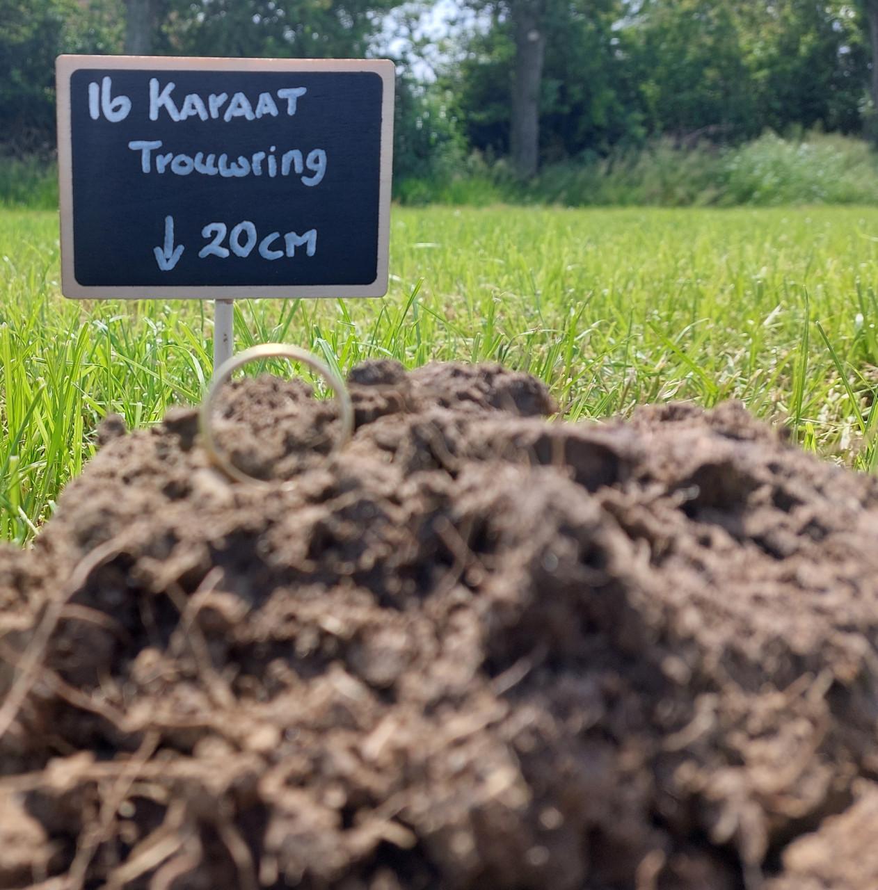 Metaaldetectie cursusdagen voor op land en strandlocaties