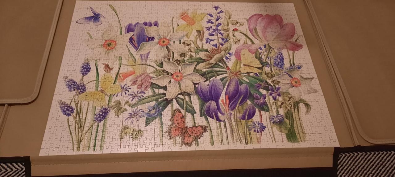 Dubbelpuzzel 2 x 1000 stukjes van Janneke Brinkman Salentijn