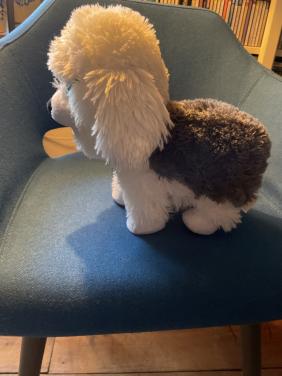 Beweeglijke hond