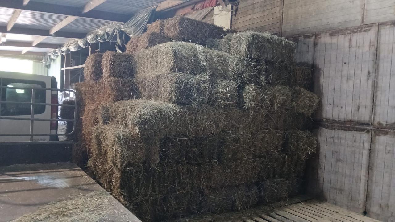 Kleine pakjes hooi