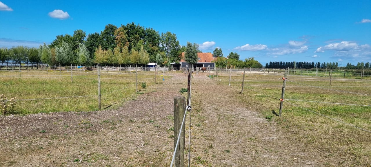 Paddock paradise Zeeland