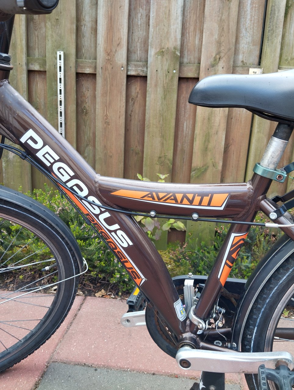 PEGASUS AVANTI 26 inch