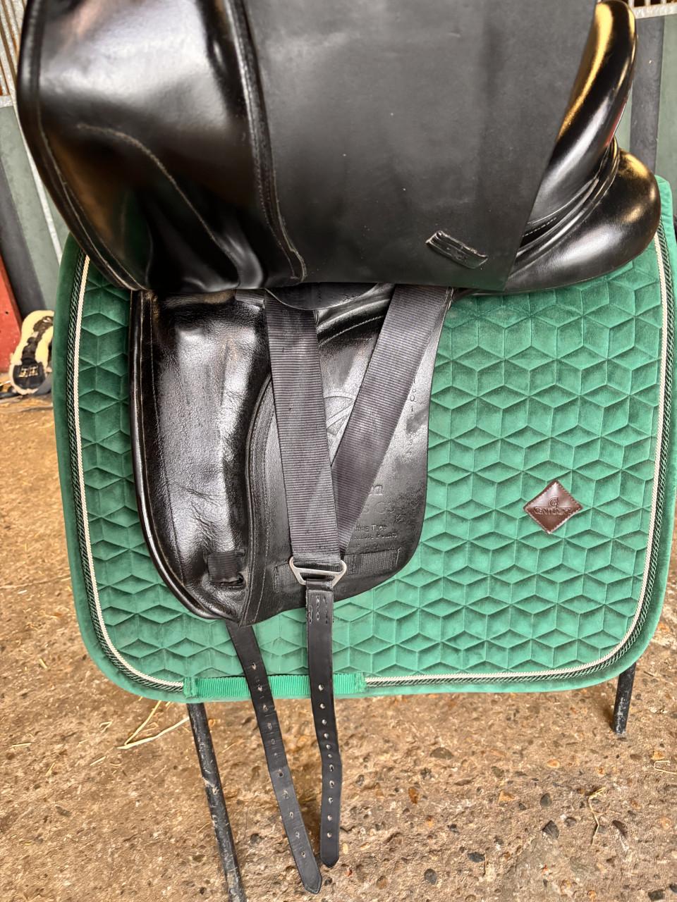 Anatomica Cygnus dressuurzadal