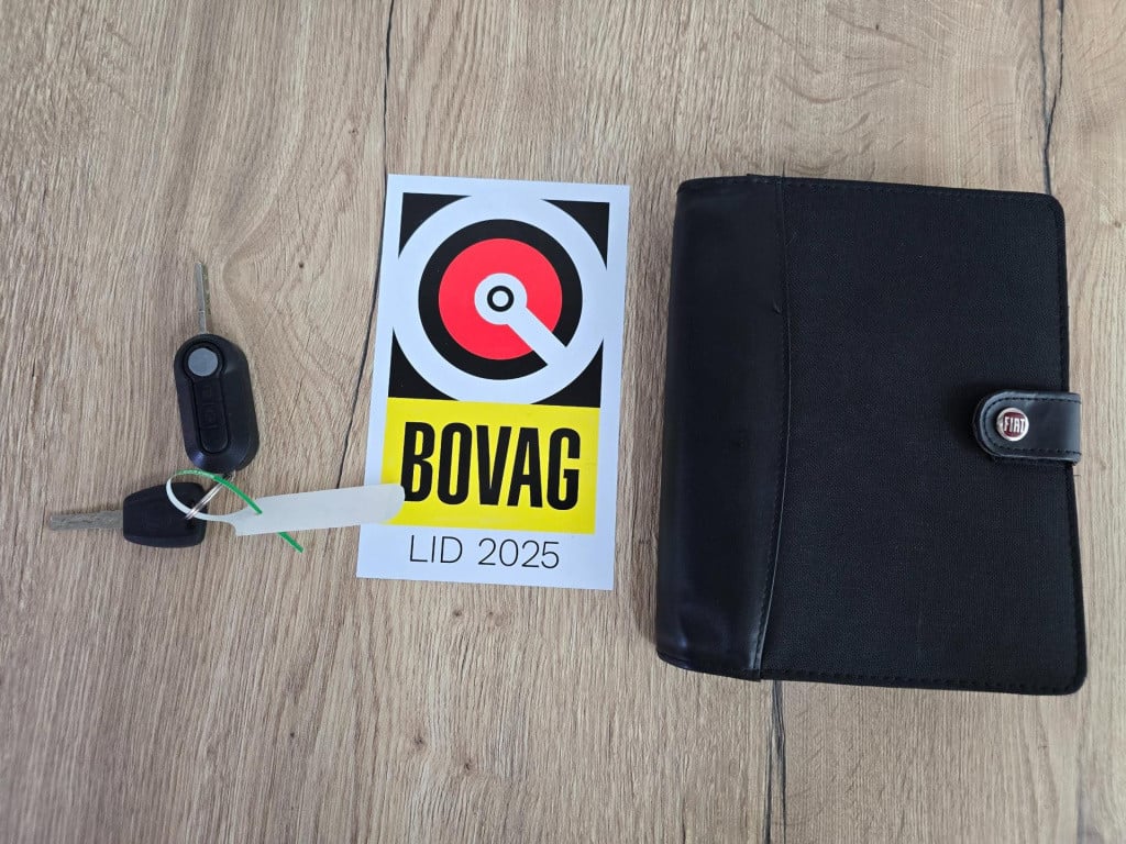 Fiat 500 twinair met panoramadak en unieke parelmoerkleur | tweedehands fia