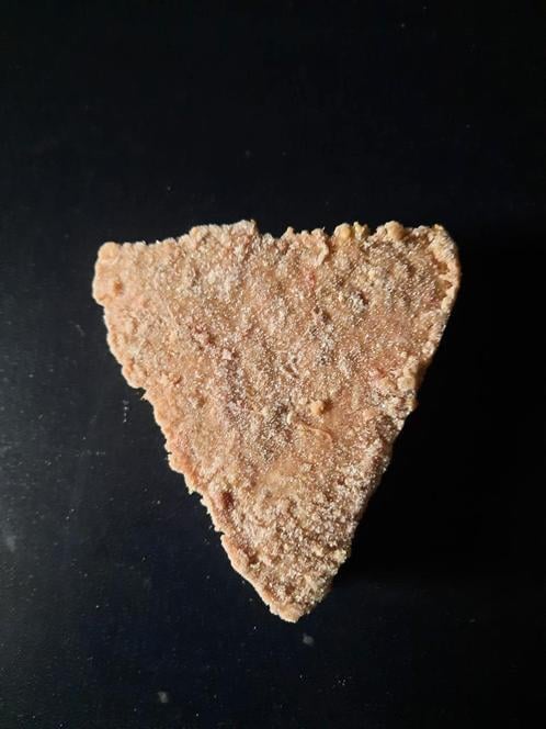 Energique vers vleesmaaltijd volwassen hond . 10 kilo