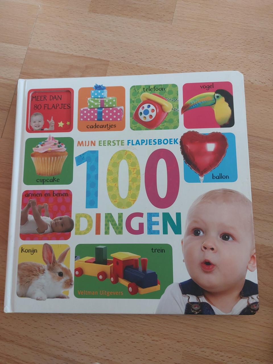 Mijn eerste flapjesboek 100 dingen