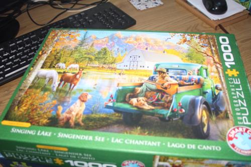 Leg Puzzels div soorten