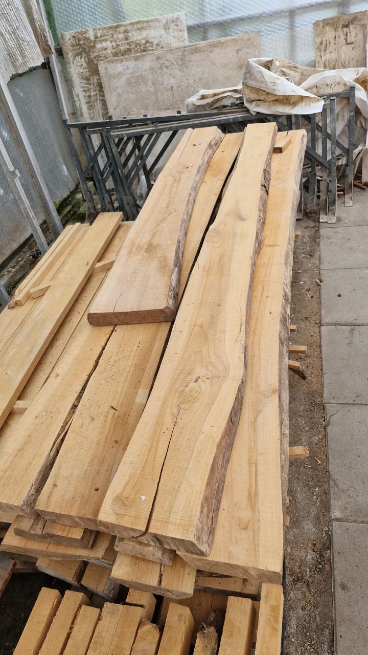 Boomstam schaaldelen leuk voor tafel, barblad of wandplank
