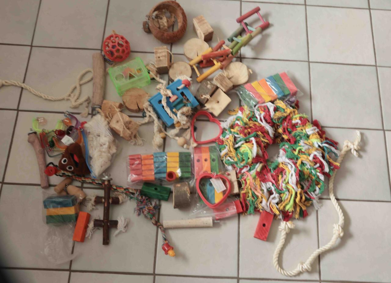 Papegaai speelgoed of voor grote parkieten