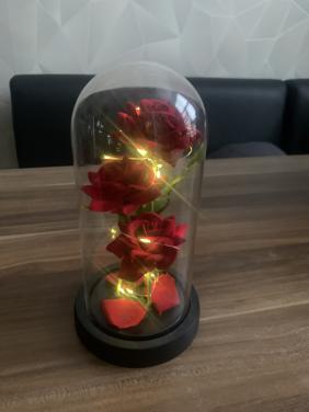 Rozen in glazen stolp met led verlichting