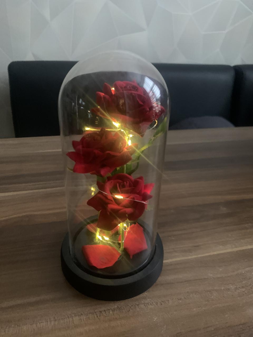 Rozen in glazen stolp met led verlichting