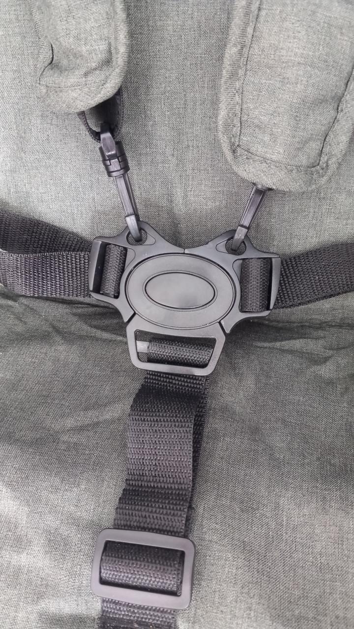 Prenatal buggy