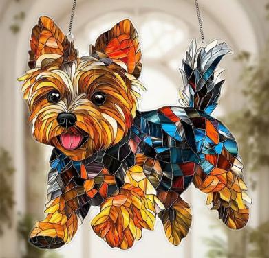 Raamhanger Yorkshire terrier
