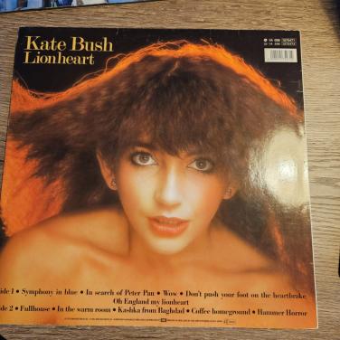 Kate Bush - Lionhaert
