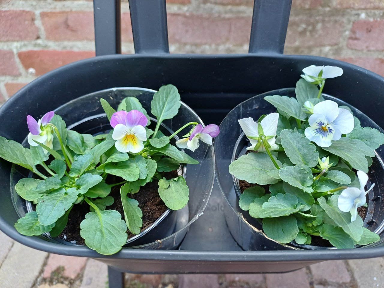 Kleine TUIN? Leuk metalen REK met 3 bijpassende bloembakken