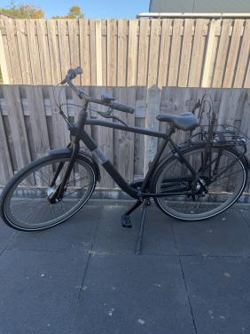 Gazelle esprit